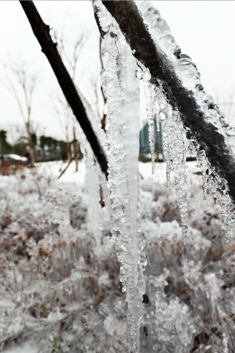 一場雪，體育中心美得不要不要的</br>但最美的風景還是他們(圖4)