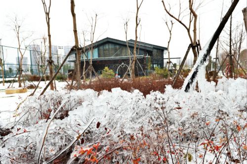 一場雪，體育中心美得不要不要的</br>但最美的風景還是他們(圖2)